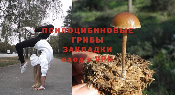 каннабис Горнозаводск