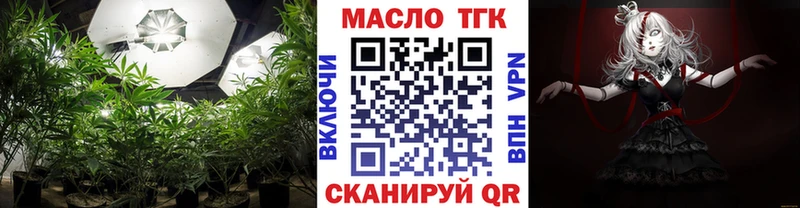 купить наркотик  Петровск-Забайкальский  hydra как зайти  Дистиллят ТГК концентрат 